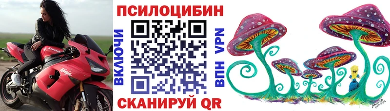 Галлюциногенные грибы мухоморы KRAKEN ONION Кондопога продажа наркотиков