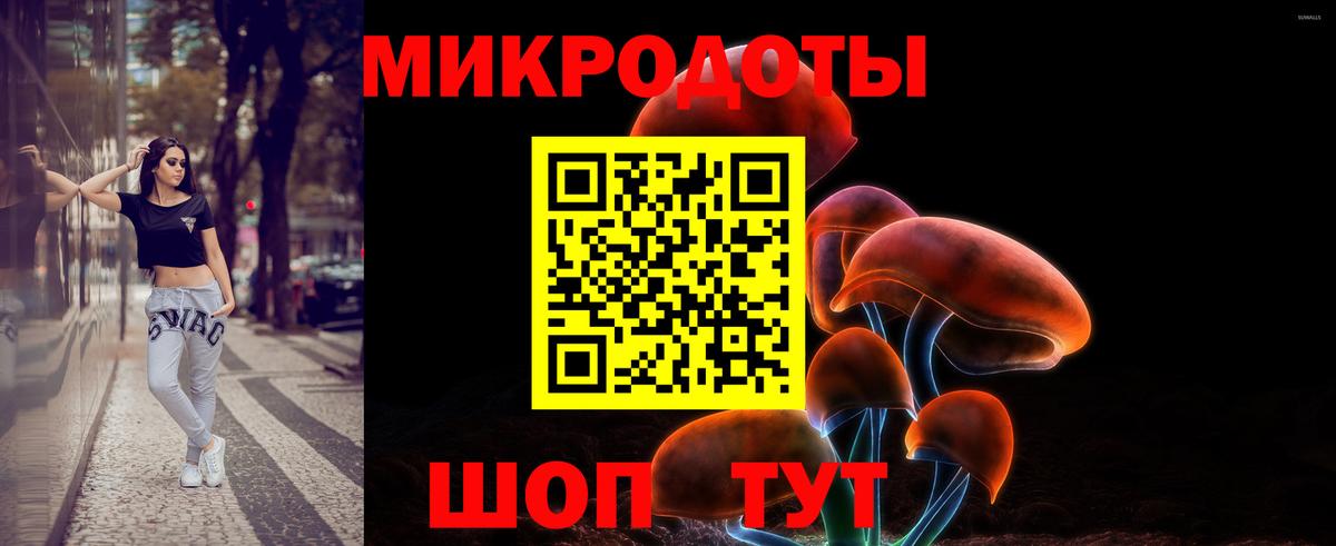 купить закладку  Вход с VPN  Кондопога  Галлюциногенные грибы мухоморы 